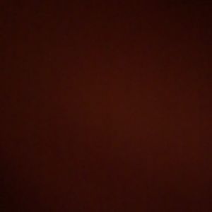 Meet your Posher, Dylan